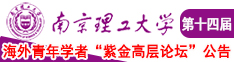 插美女下面南京理工大学第十四届海外青年学者紫金论坛诚邀海内外英才！